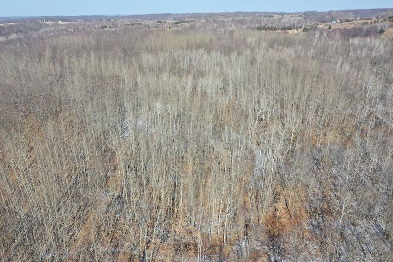 org_d070949367c012e9_1708452578000