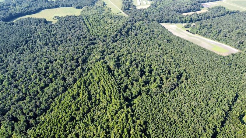 dji_fly_20250726_090720_499_1753535303387_photo_optimized