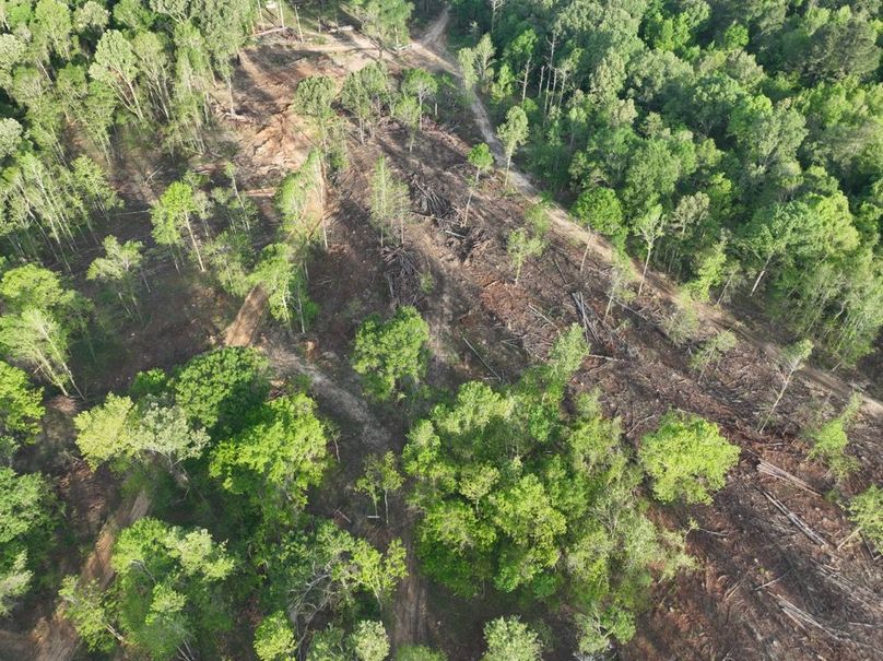 dji_fly_20260407_083720_372_1775580275200_photo