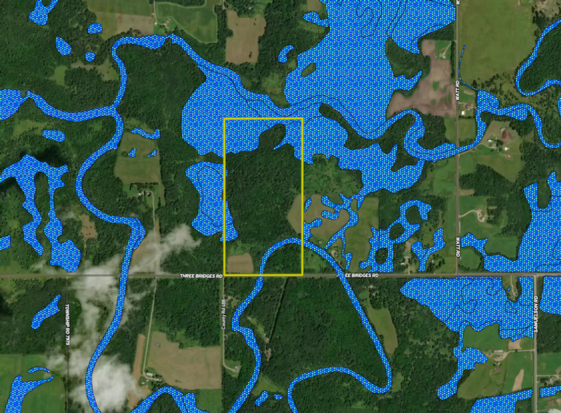 TBD Three Bridges Rd. wetland layer