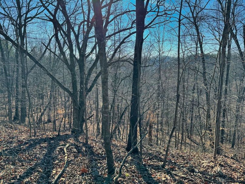 014 more great timbered ridges