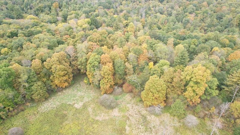 dji_fly_20240926_133458_729_1727372588483_photo