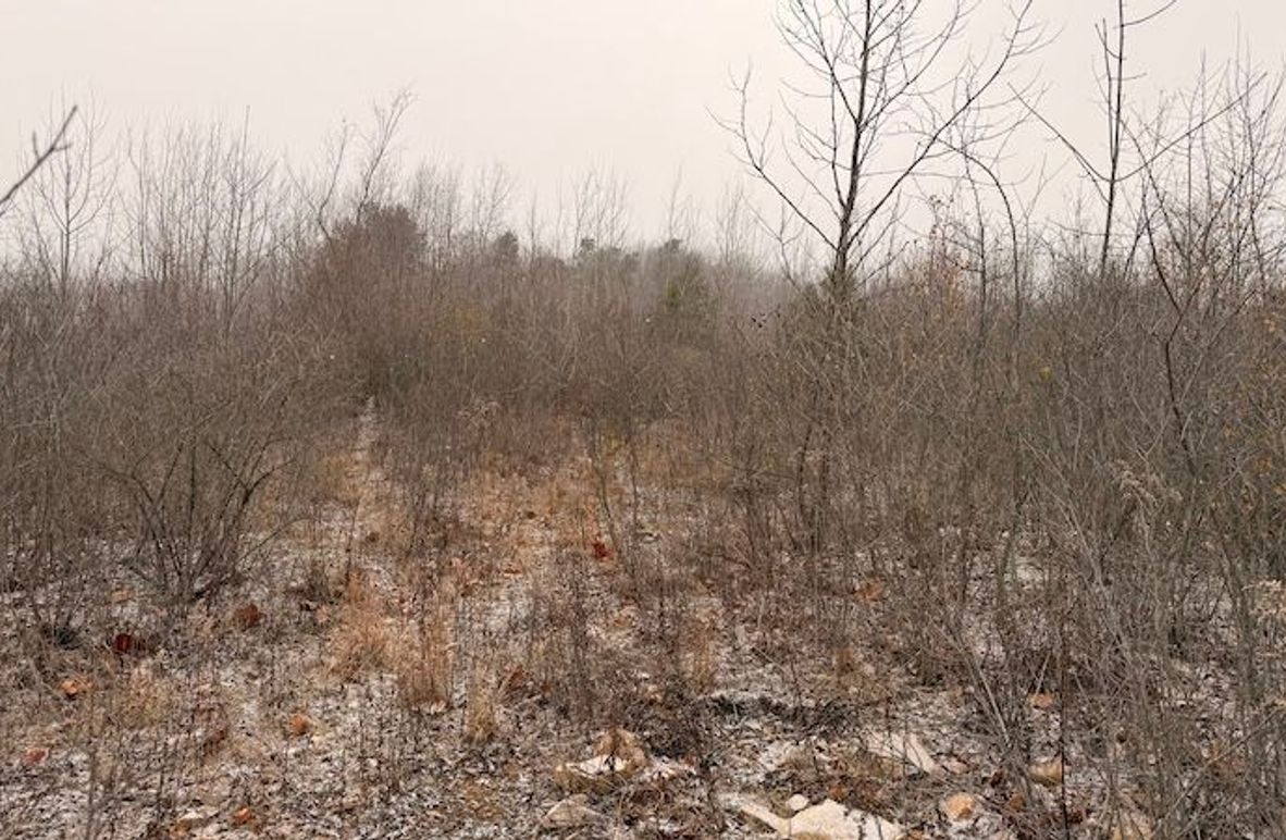 02236383-D348-4C3C-B93F-CD2EA72436F8_1_201_a