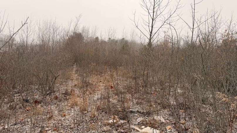 02236383-D348-4C3C-B93F-CD2EA72436F8_1_201_a