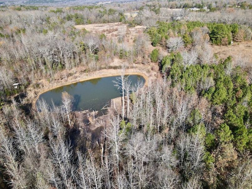 dji_fly_20251130_130830_876_1764614986242_photo