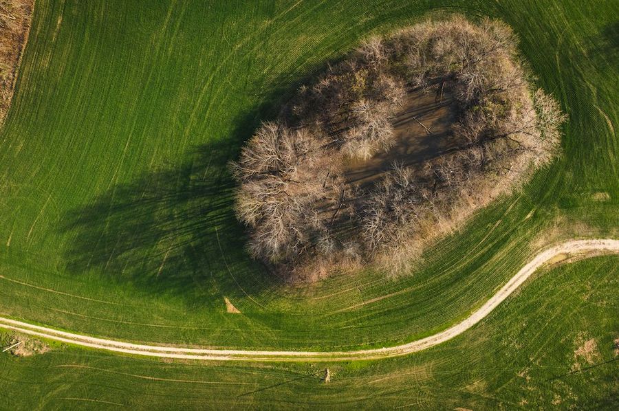 DJI_0633-HDR