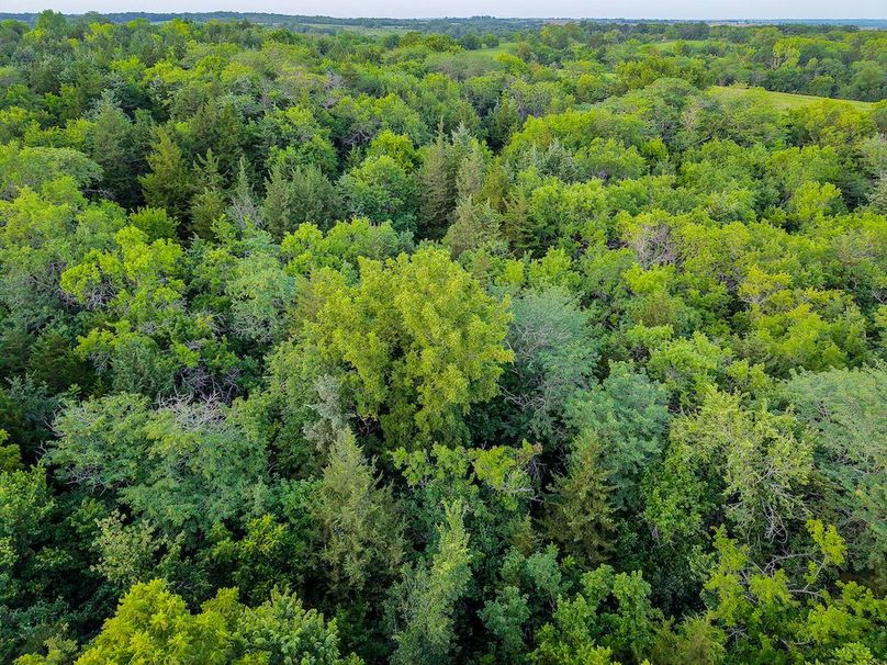 DJI_20250723203051_0448_D
