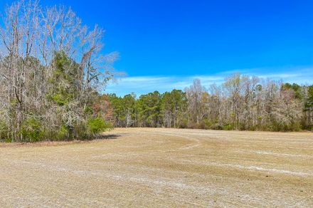 Tree Stands for sale in Anderson, South Carolina