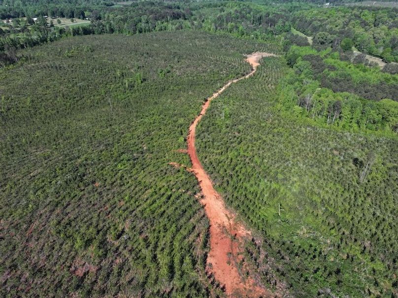 DJI_20260421100646_0650_D