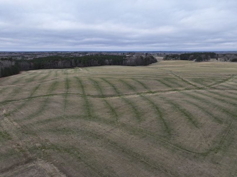 dji_fly_20260219_134838_0576_1772565813842_photo(1)