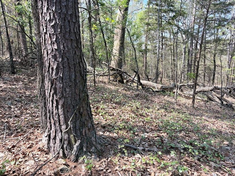 4A38F1C5-E7FB-456A-964F-0DEA2ACA3535_1_201_a