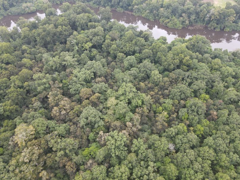 DB03E211-BF60-4902-9644-C32779F88C1D_1_102_o