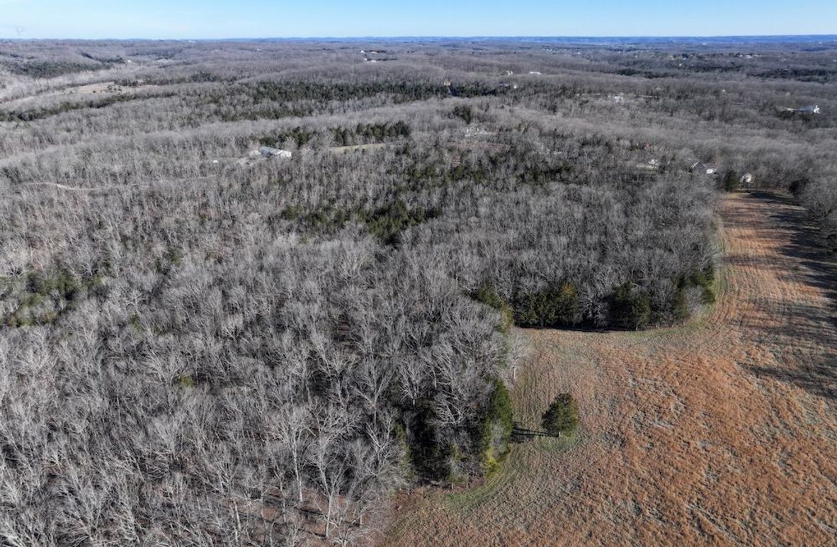 DJI_20260317092411_0950_D