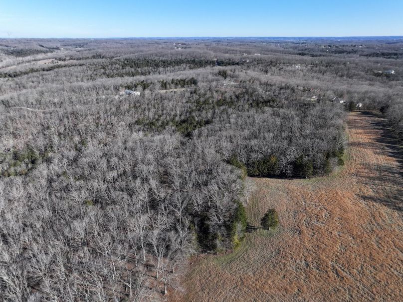 DJI_20260317092411_0950_D