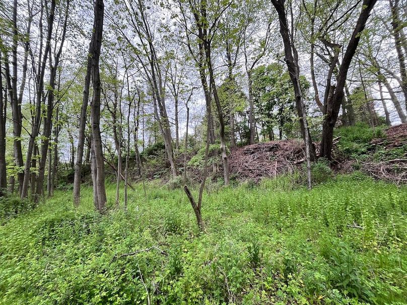 Chemung_3.5_Rouseland Photo 6