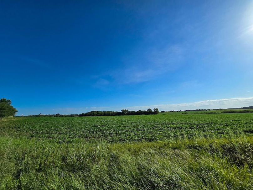 Copy of 20250729_085334