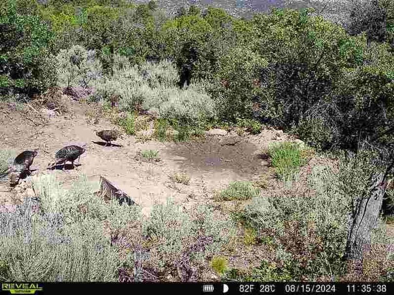 860516060007964-100-2-08152024113538-V-W1003142