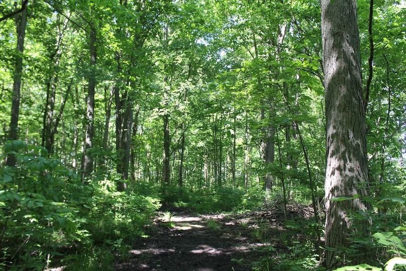 trail 19