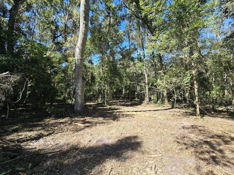 7.8ac, Citrus, Andrew Goering14