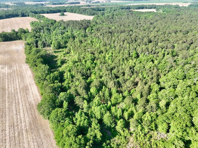 dji_fly_20260424_093908_546_1777039453146_photo