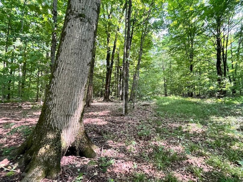 Oswego_22.46-Ross-French_Photos_10