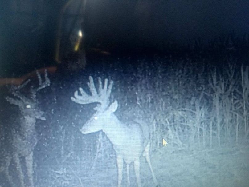 08FC50EF-ADDE-4C99-95CA-A92B881268A3