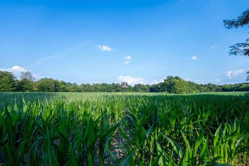 Copy of DSC06163 Large