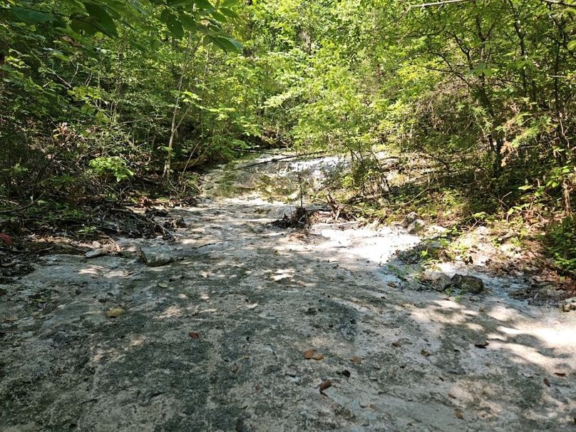 DJI_20240808_104442_150