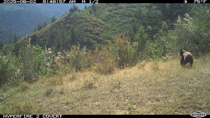 795DD41F-D8E2-45FA-A334-C0CBF0DD9077