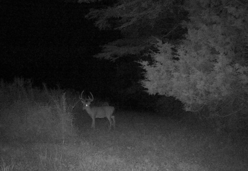 Copy of IMG_3197 Large