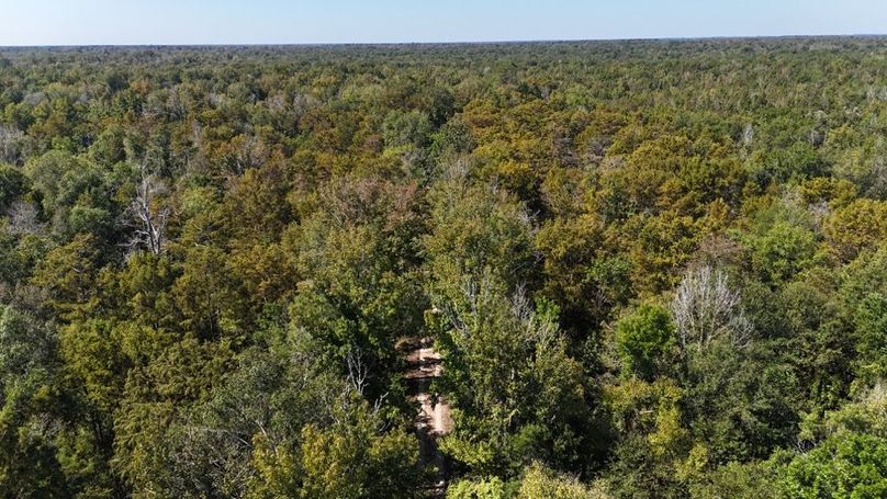 dji_fly_20251015_014048_0080_1760476737650_photo