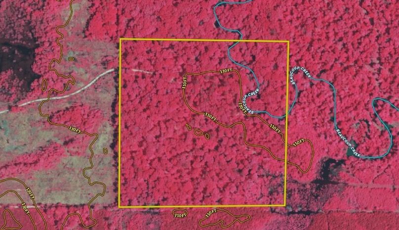 Caldwell 40- infrared