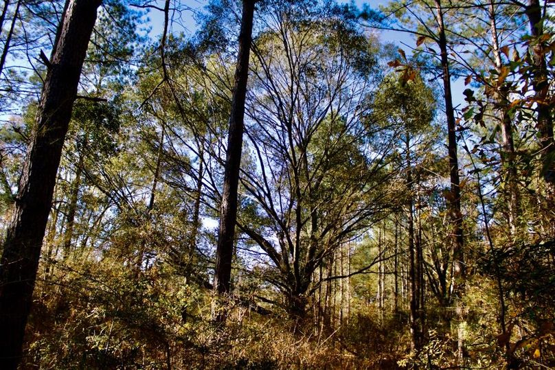 B73B6098-9736-4369-B08F-D3FE75C63D06_1_201_a-2