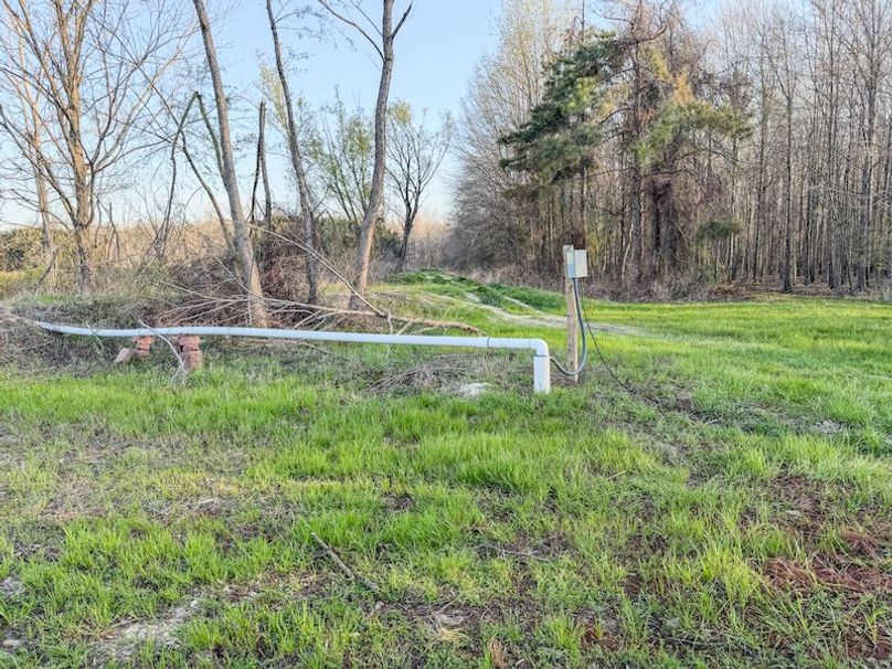 Panola 164.7 SPI Land Ventures-48