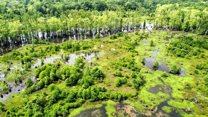 dji_fly_20260419_111930_741_1776612047877_photo_optimized