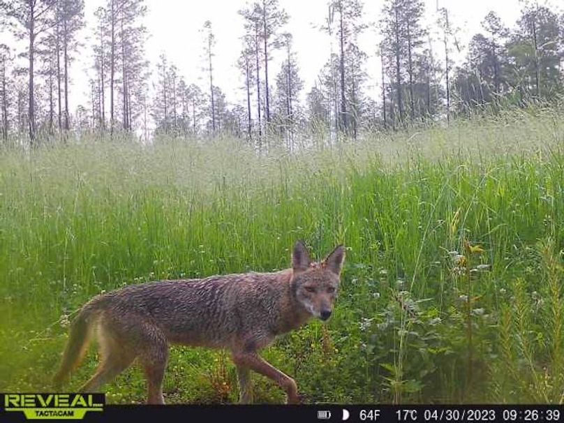 861107034996992-70-5-04302023092638-W1002376