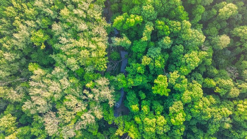 DJI_20250516055457_0010_D