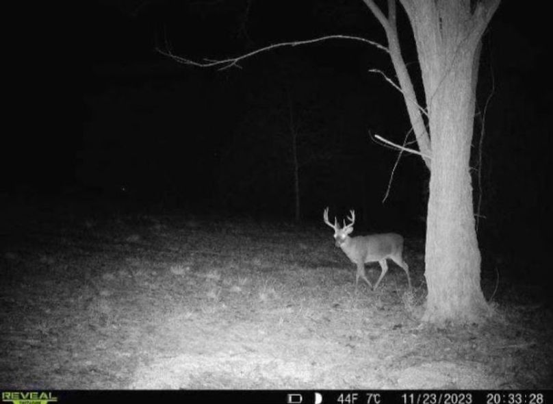 TwinStatesTrailCam24