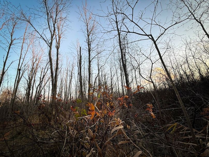 Wayne_29.09_BD_LandNorth_Parcel_29