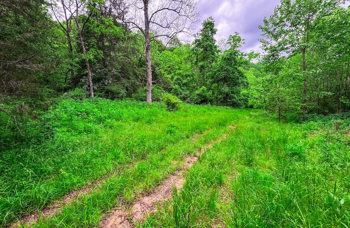 Tyler, WV 313.87 AC -04