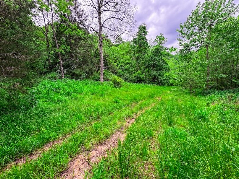 Tyler, WV 313.87 AC -04