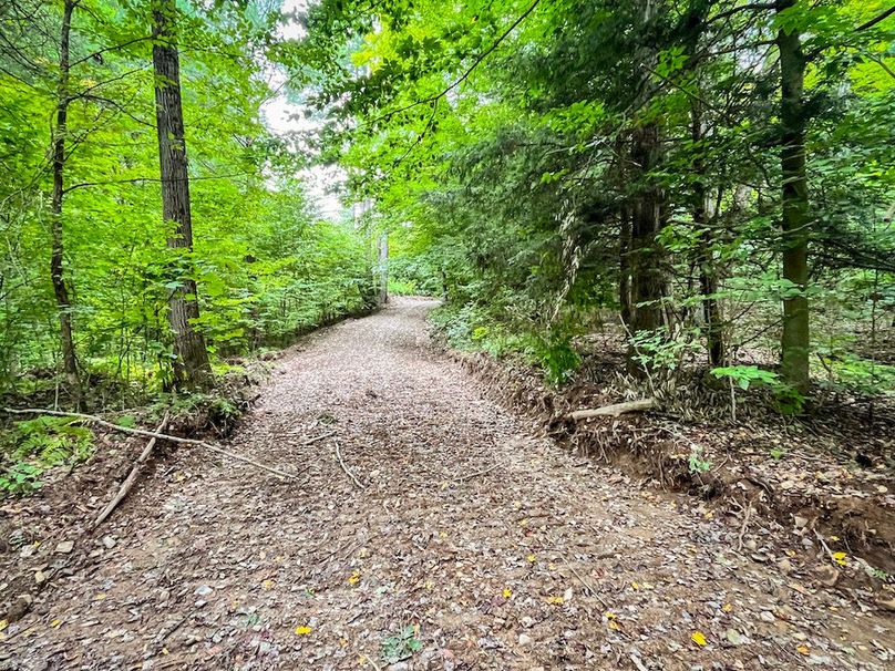 Chemung_60.55_Baumunk_Photos_8