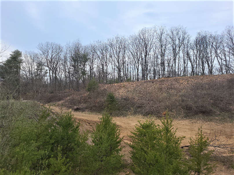 2.87ac_CokesburyRd_CECIL_PIC_013