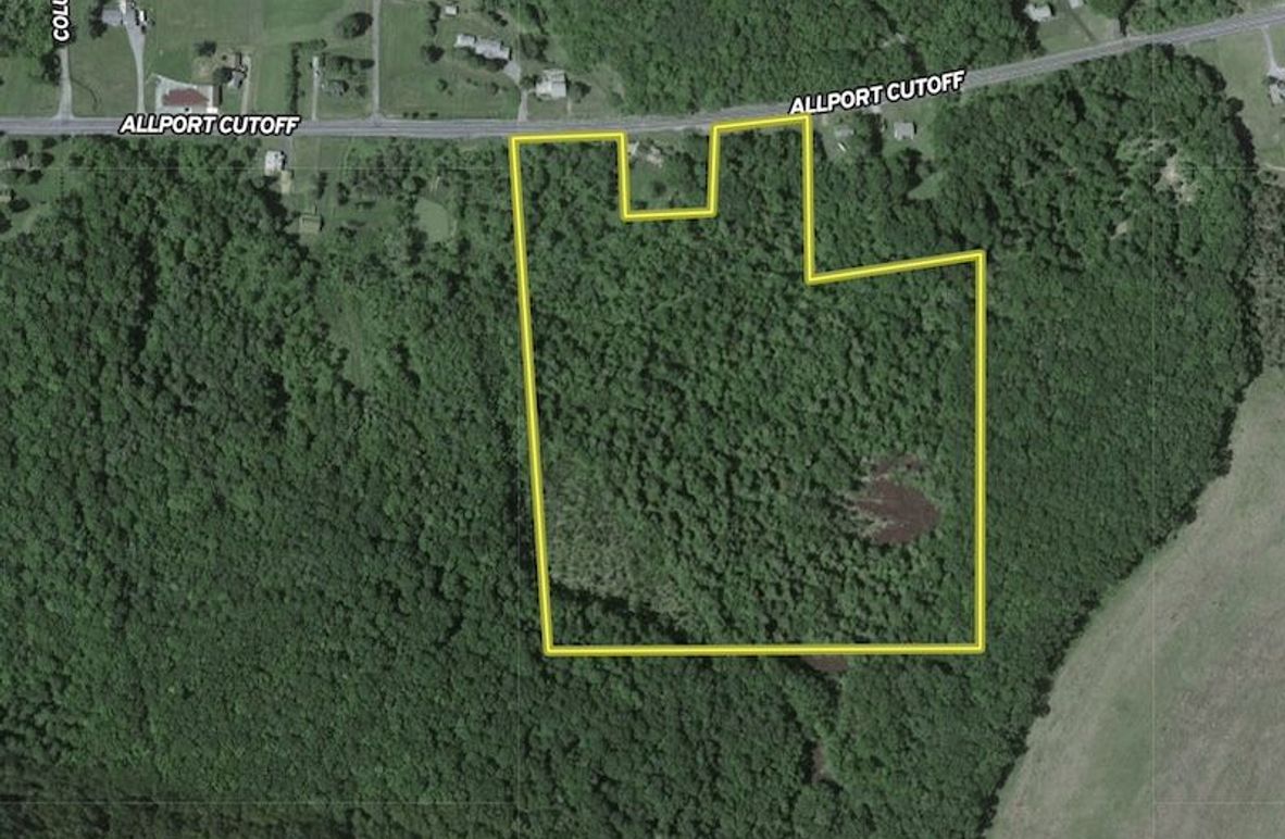 Screenshot 2025-04-09 000050