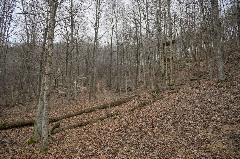 17-DSC_1595