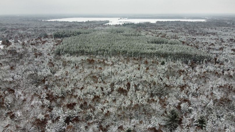 dji_fly_20240111_114202_864_1704995466537_photo_optimized 3