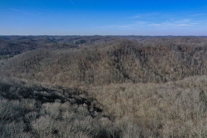 033 aerial drone shot from the west boundary overlooking the Paintsville Lake WMA