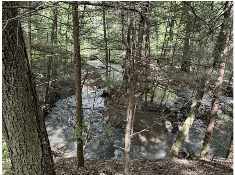 Screenshot 2026-02-25 213337