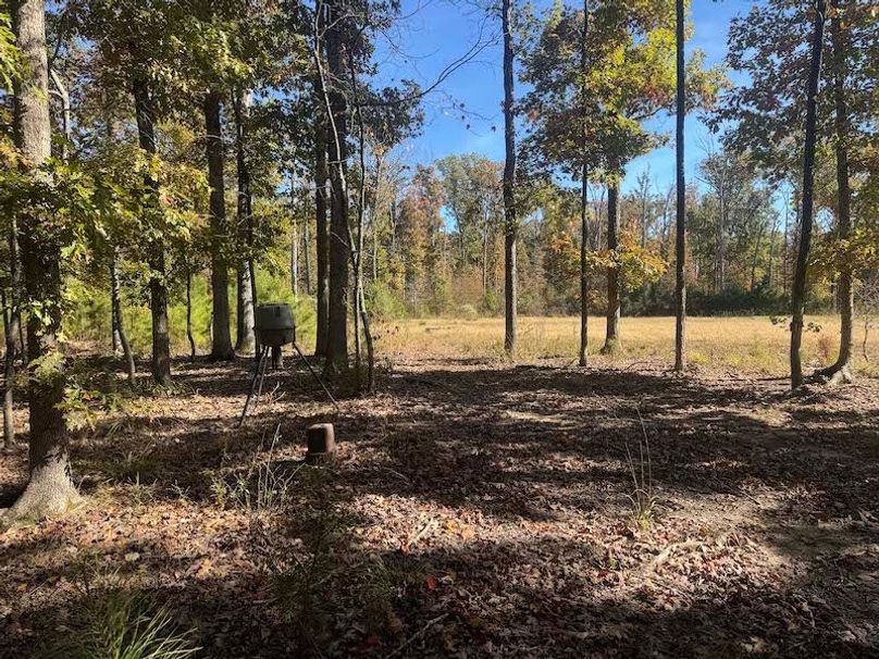 jeff 5020251111_0314