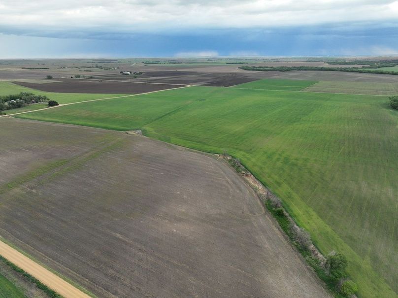 Copy of dji_fly_20240501_080818_983_1714568985064_photo